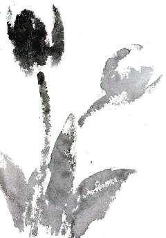 Fumiko Kurokawa sumi-e exhibition 2003